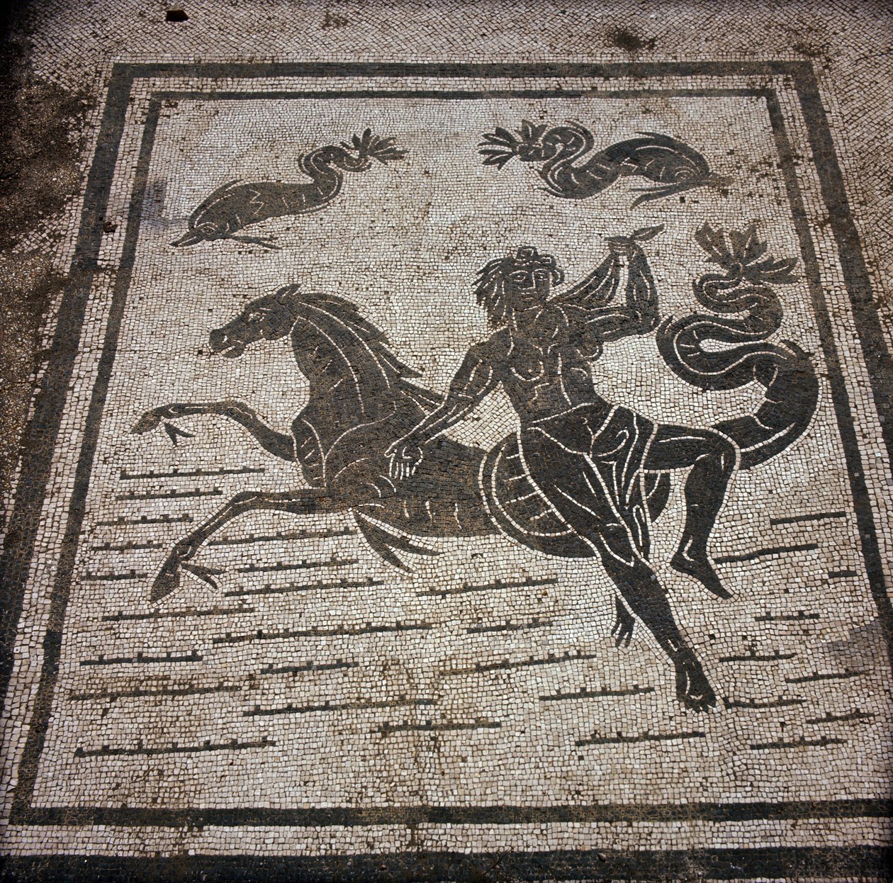 Forntida Ostia (Ostia). Place des Corporations. Mosaik av Sabratha Seafarers Corporation. En nymf och en marinhäst. av Roman