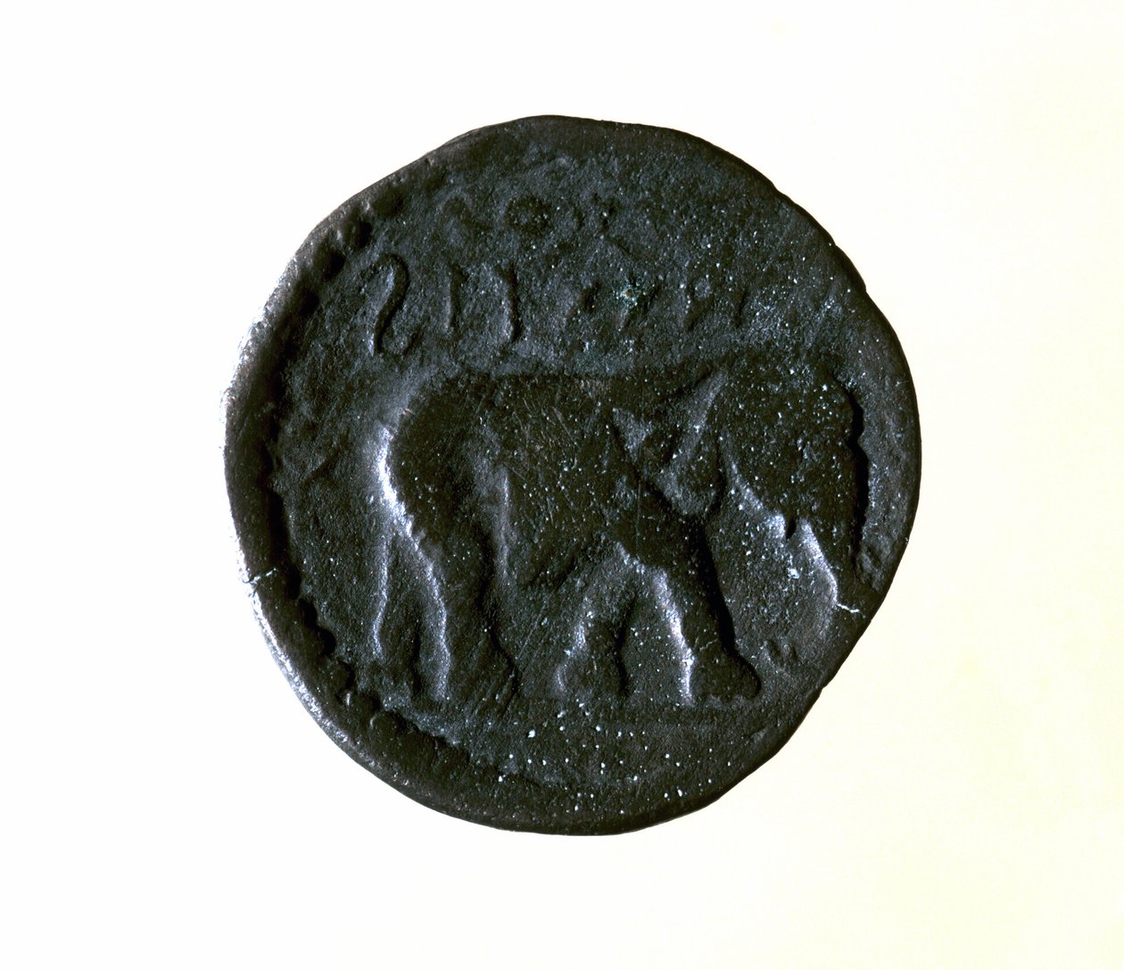 Kartago mynt som föreställer en elefant. 3:e eller 2:a århundradet f.Kr. av Roman