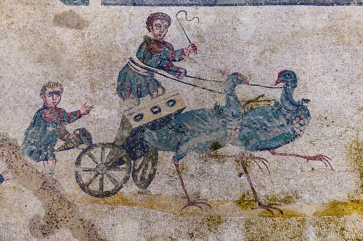 Vagntävling med sjökort dragna av fåglar (mosaik) av Roman