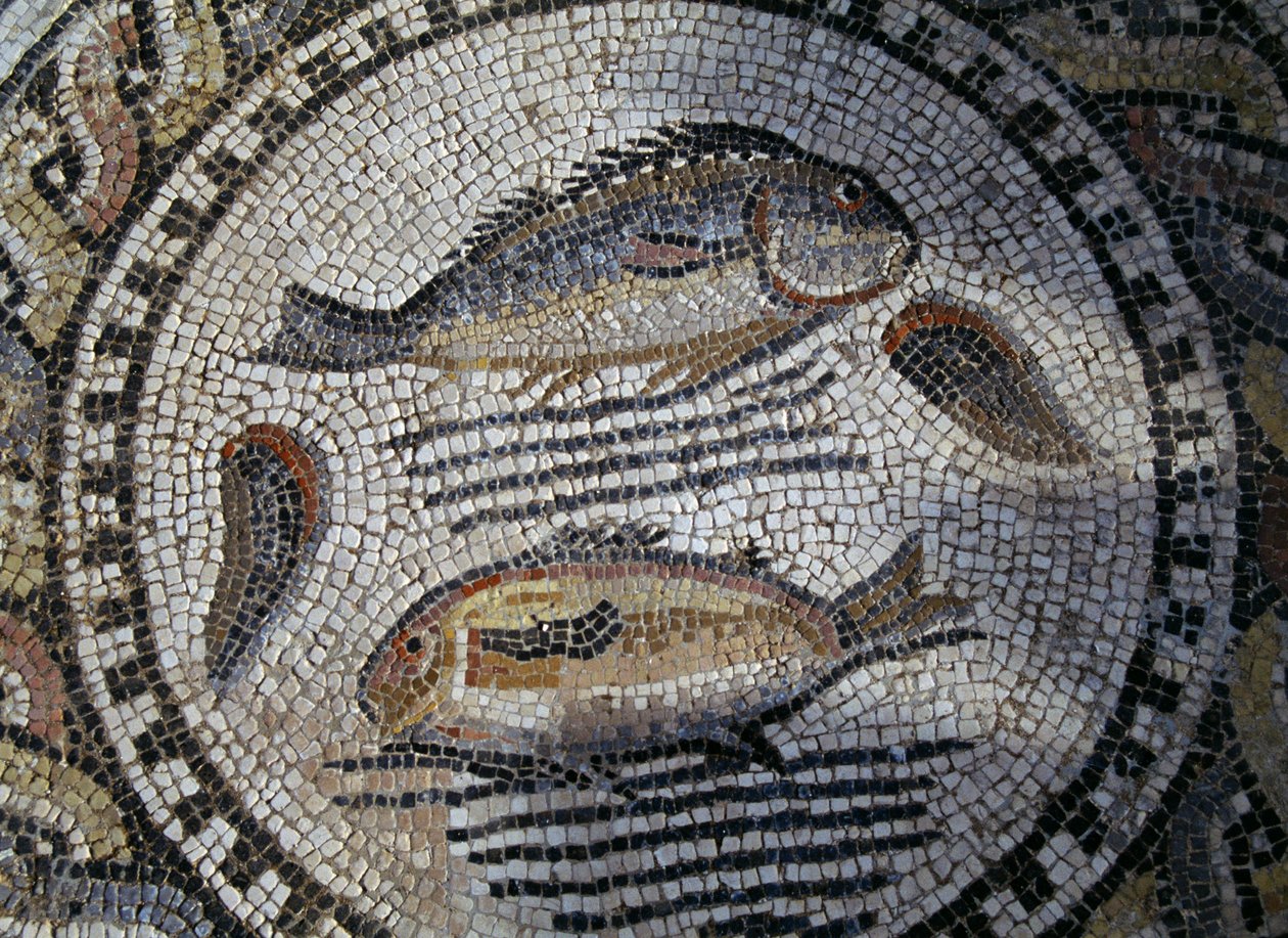 Fisk, mosaik i den romerska staden Volubilis (UNESCOs världsarvslista av Roman
