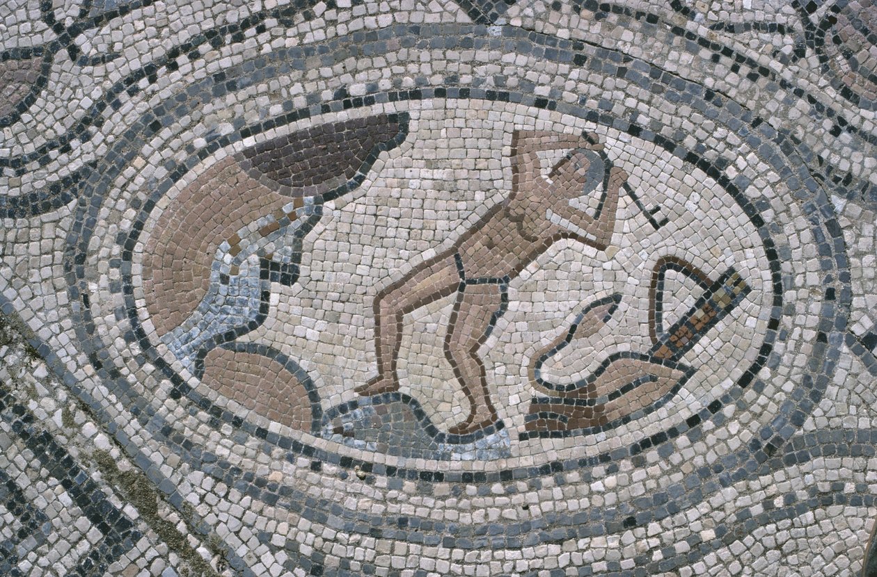 Hercules and the Augian Stables, från golvet i "The House of Hercules" (mosaik) av Roman