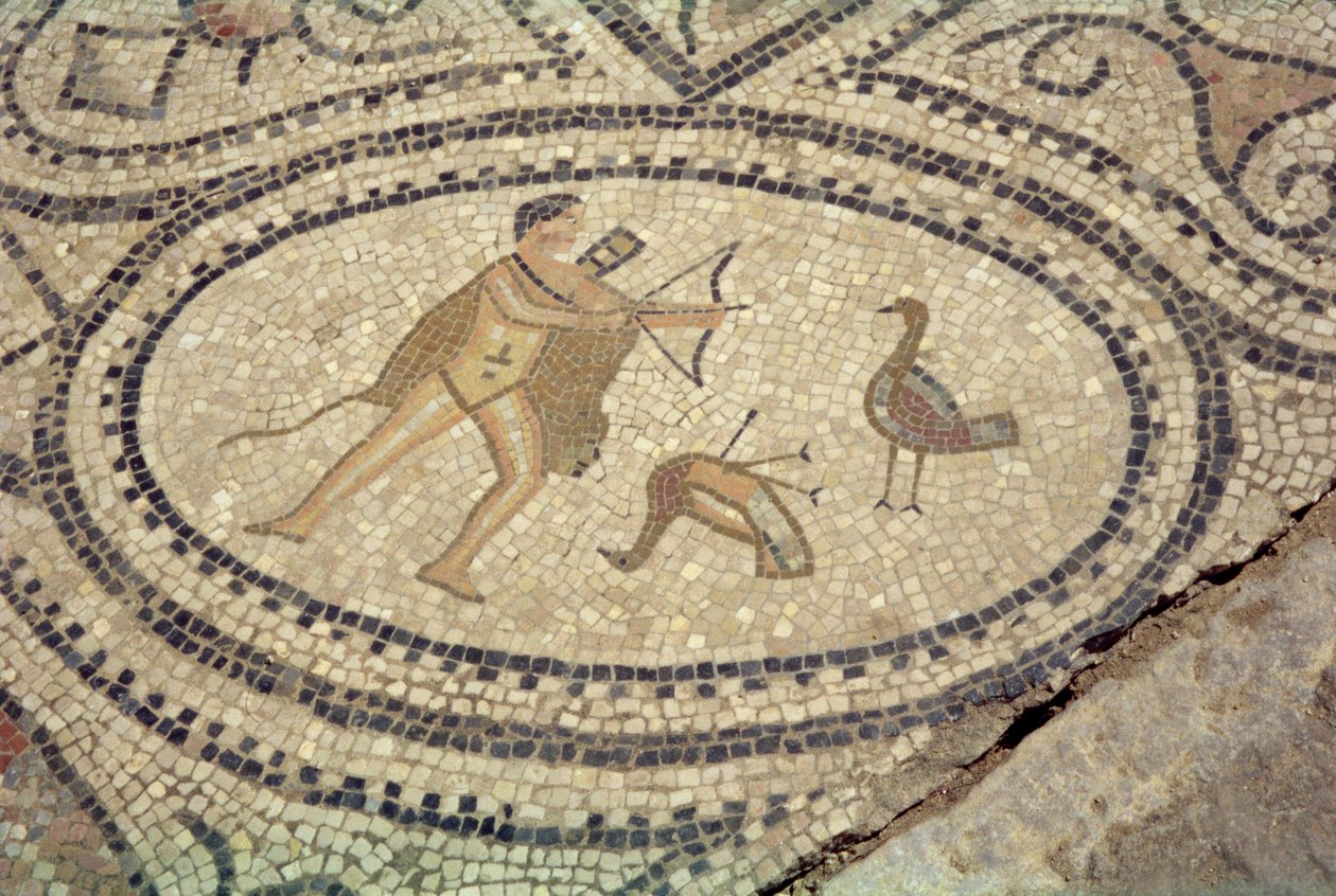 Hercules and the Stymphalian Birds, från golvet i 