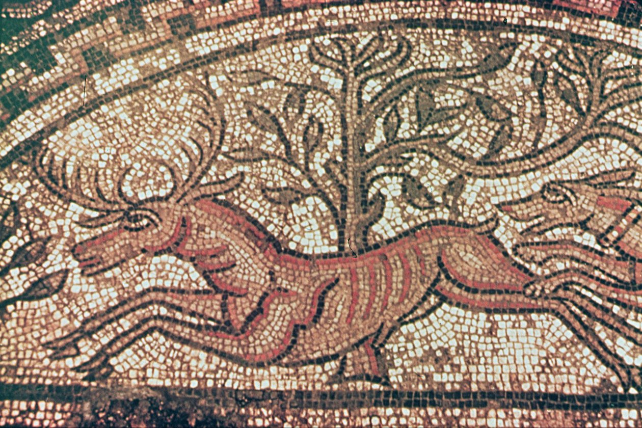 Hinton St. Mary trottoar (detalj) c.350 AD (mosaik) av Roman
