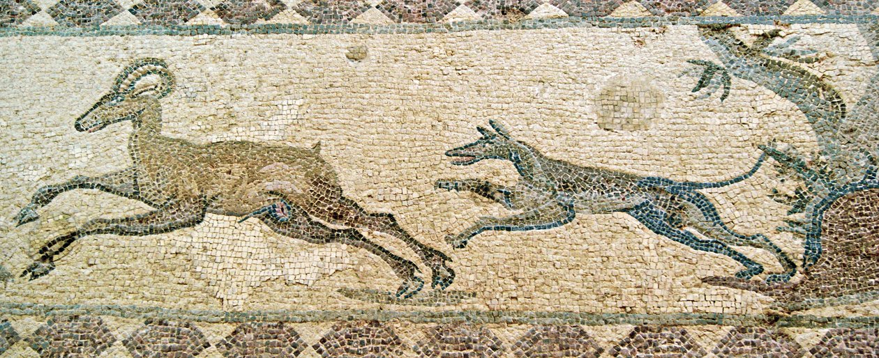 Jaktscen, Dionysos hus, Paphos, Cypern (mosaik) av Roman
