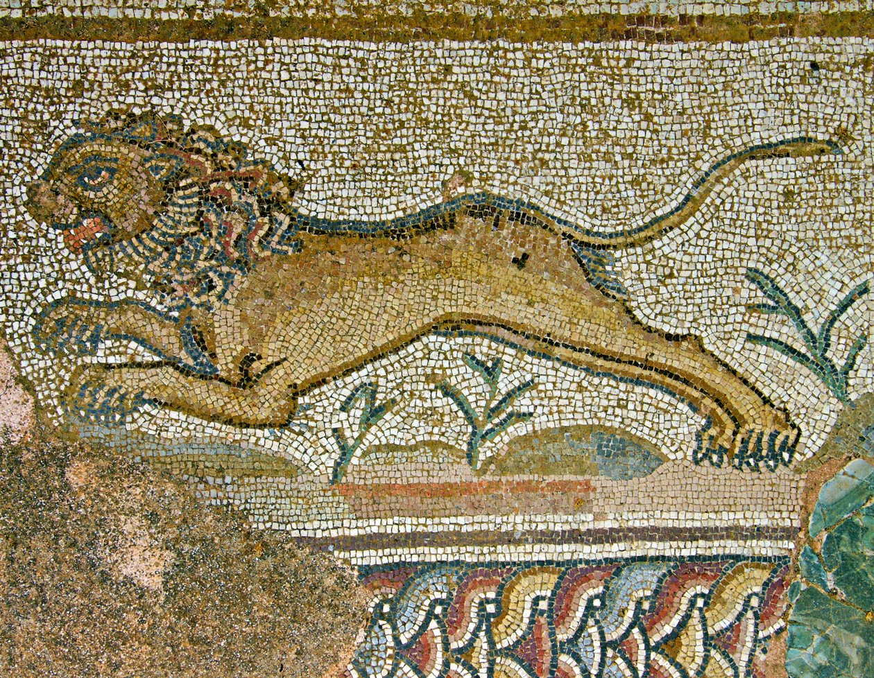 Jaktscen, detalj av ett lejon, Dionysos hus, Paphos, Cypern mosaik av Roman