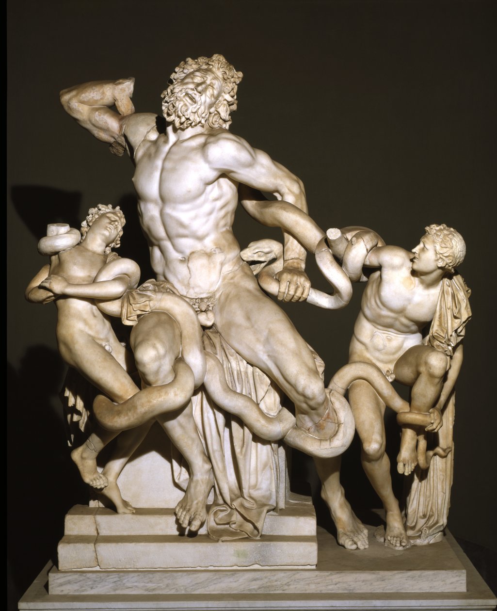 Laocoön och hans söner (marmor) av Roman