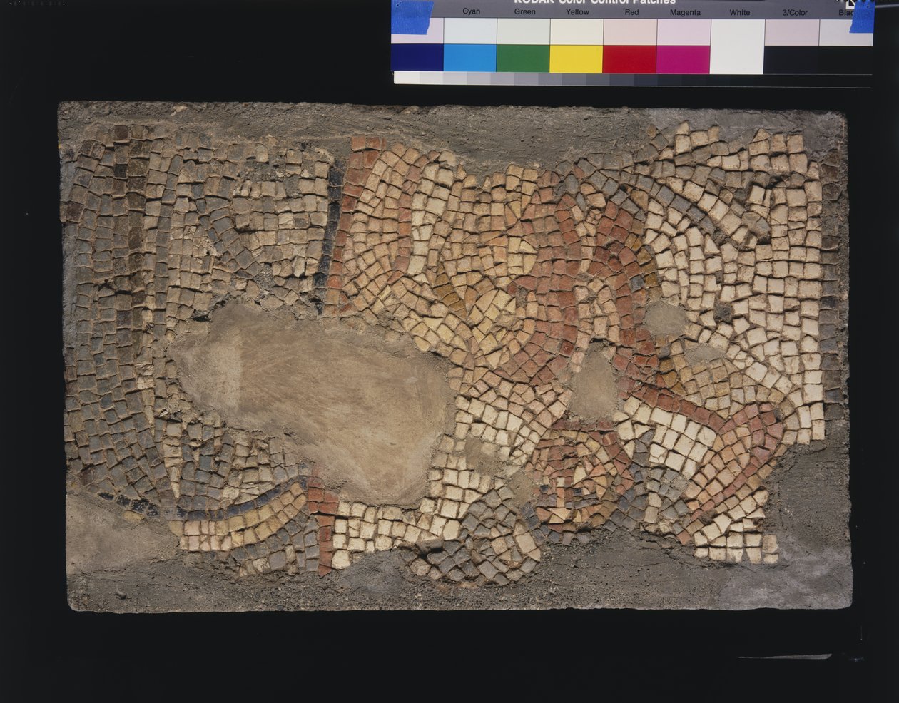 Mosaik från huset Menander med Zeus, 3:e - 4:e århundradet (kalksten och marmortesseror) av Roman