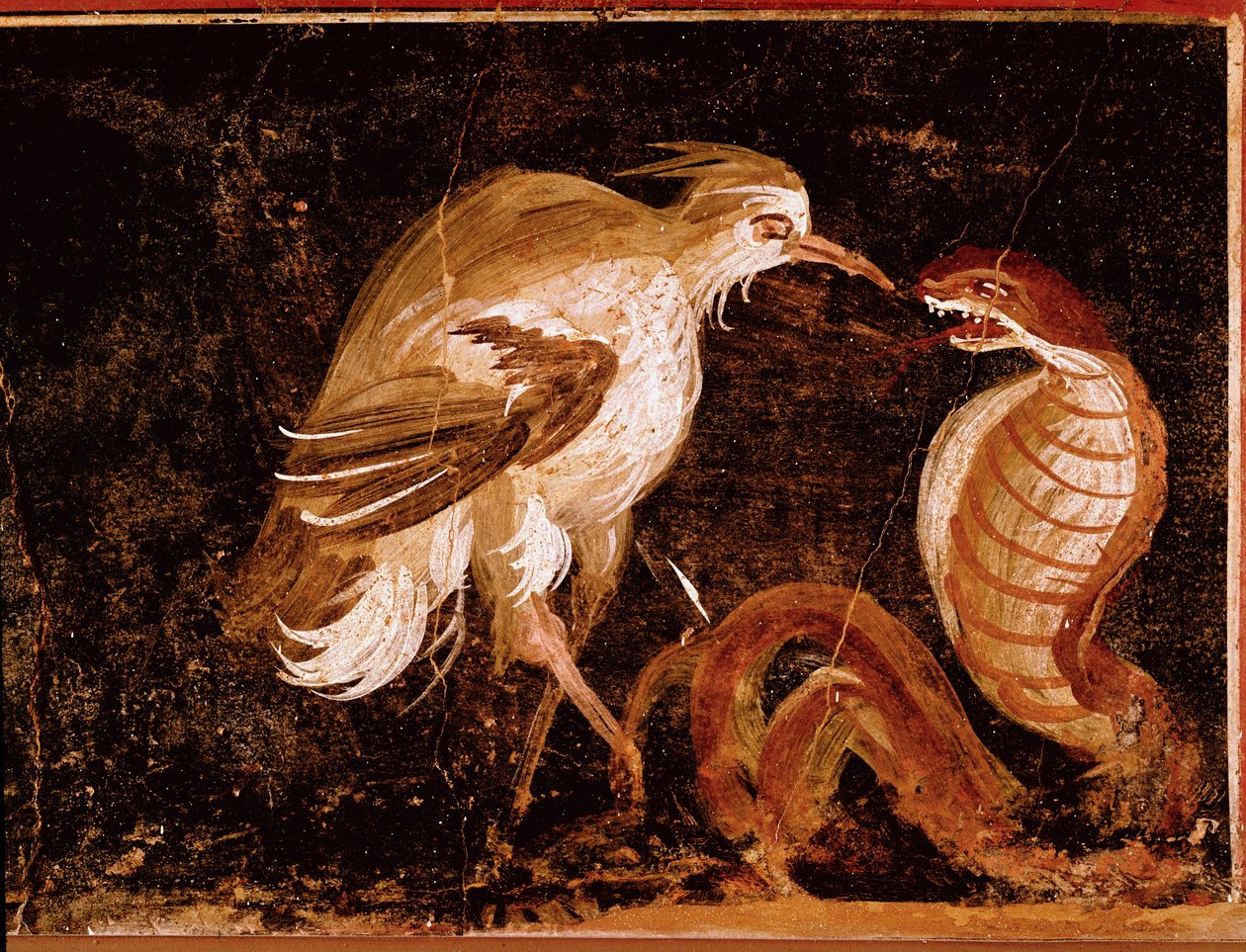 Romersk konst: "" Kampen mellan en häger och en kobra"" Romersk fresk från Epigrammens hus, Pompeji, Italien (Fight between a heron and a cobra, fresk från casa degli Epigrammi, Pompeji) 60-80 e.Kr. av Roman