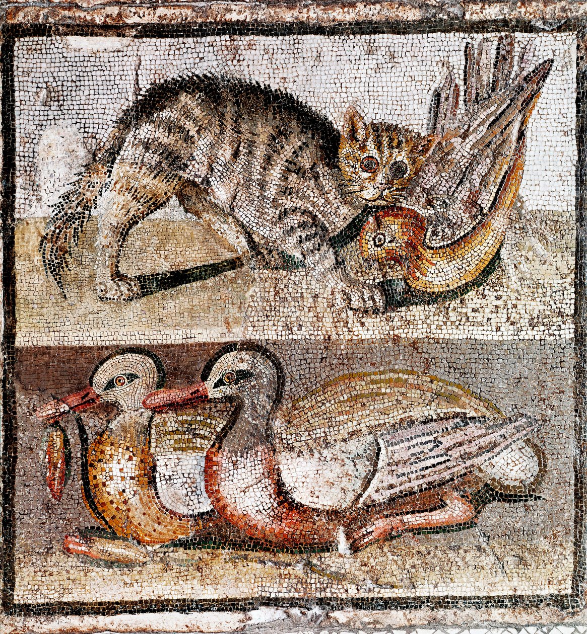 Romersk konst: mosaik som visar en vildkatt som fångar en rapphöna och två ankor. 200-150 f.Kr. Rom, Museo Nazionale Romano - Romersk konst: mosaik som visar en vildkatt som fångar en rapphöna och två ankor. 200-150 f.Kr. Museo Nazionale Romano, Rom, Itali av Roman