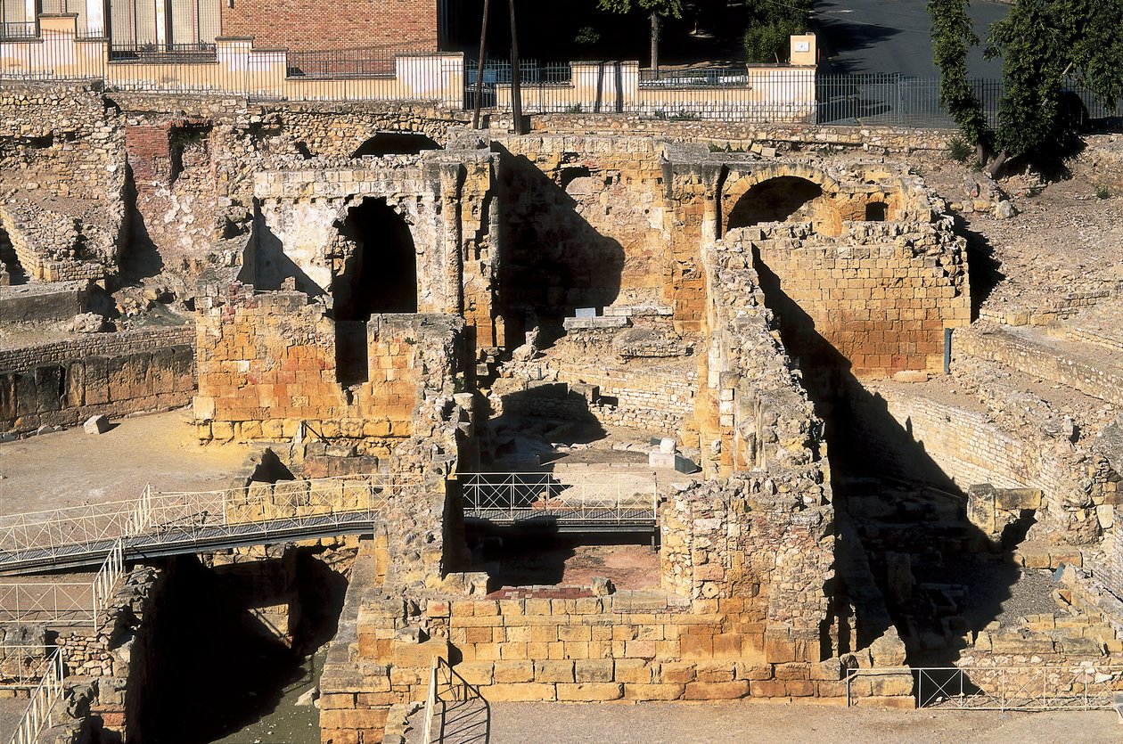 Romersk amfiteater, Tarragona, Katalonien, Spanien av Roman