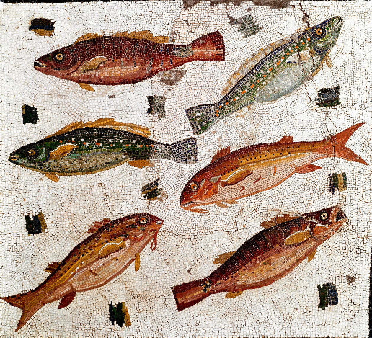Romersk konst: mosaik som föreställer fisk. 1:a århundradet f.Kr. Rom, Museo Nazionale Romano - Romersk konst: Mosaik som föreställer fiskar. 1:a århundradet f.Kr. Museo Nazionale Romano, Rom, Italien av Roman