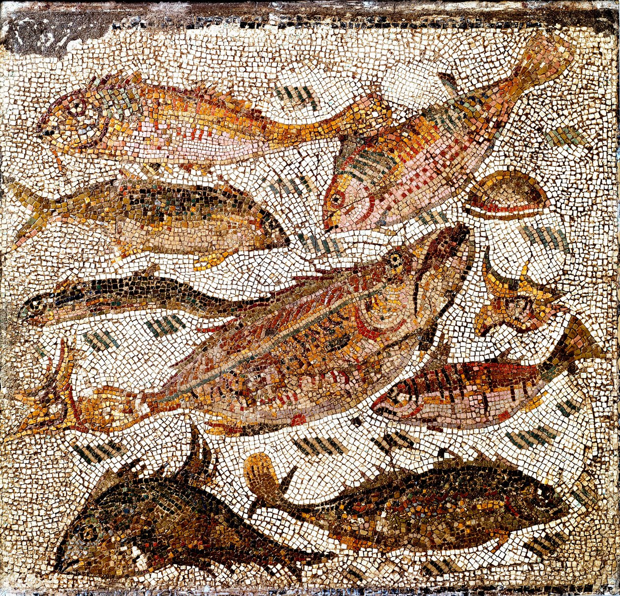 Romersk konst: mosaik som föreställer fisk. 1:a eller 2:a århundradet e.Kr. Från Villa dei Settimii på Via Cassia. Rom, Museo Nazionale Romano - Romersk konst: mosaik som föreställer fiskar. 1:a eller 2:a århundradet e.Kr. Från Villa dei Settimii, Via Cass av Roman