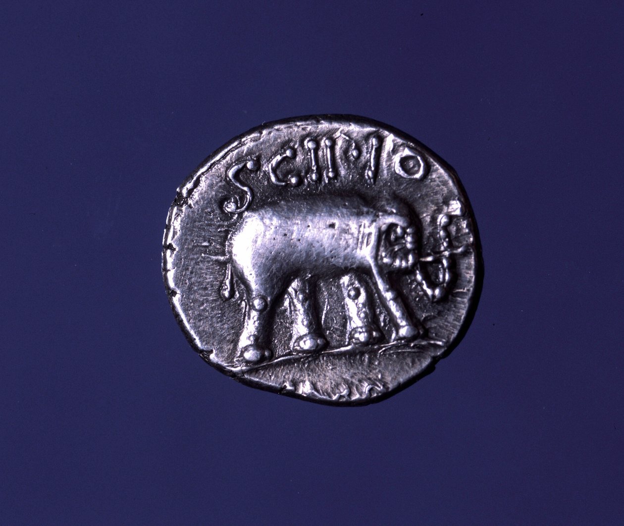 Silvermynt som föreställer en elefant, fetischdjur från Scipions. Lucius Caecilius Metellus tog de karthagiska elefanterna 251 f.Kr. 47-46 f.Kr. av Roman