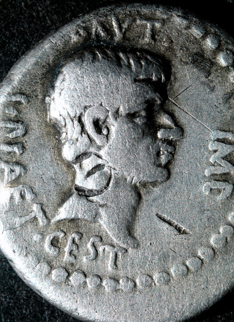 Silvermynt med en bild av Marcus Junius Brutus (83-42 f.Kr.) romersk senator av Roman