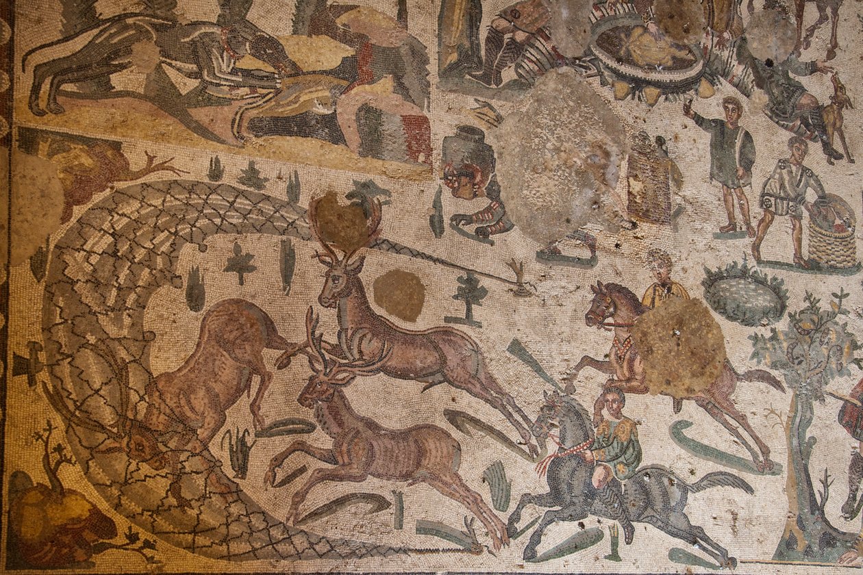 Tredje rummet i den privata lägenheten, golvmosaik, Villa Romana del Casale, Piazza Armerina, Sicilien, Italien (foto) av Roman