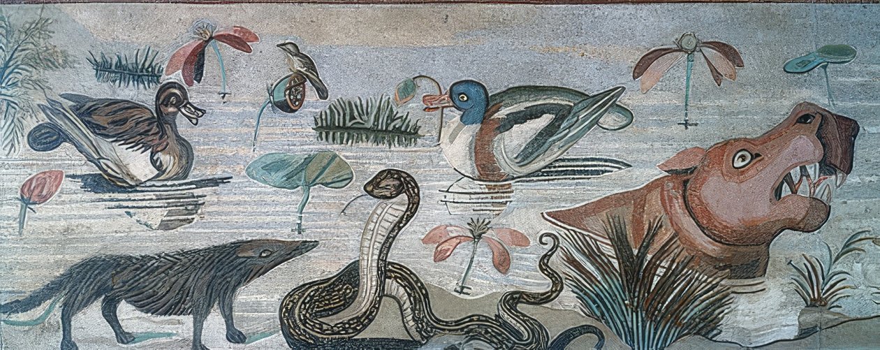 Djur i Nilen, från Faunens hus (Casa del Fauno), Pompeji av Roman