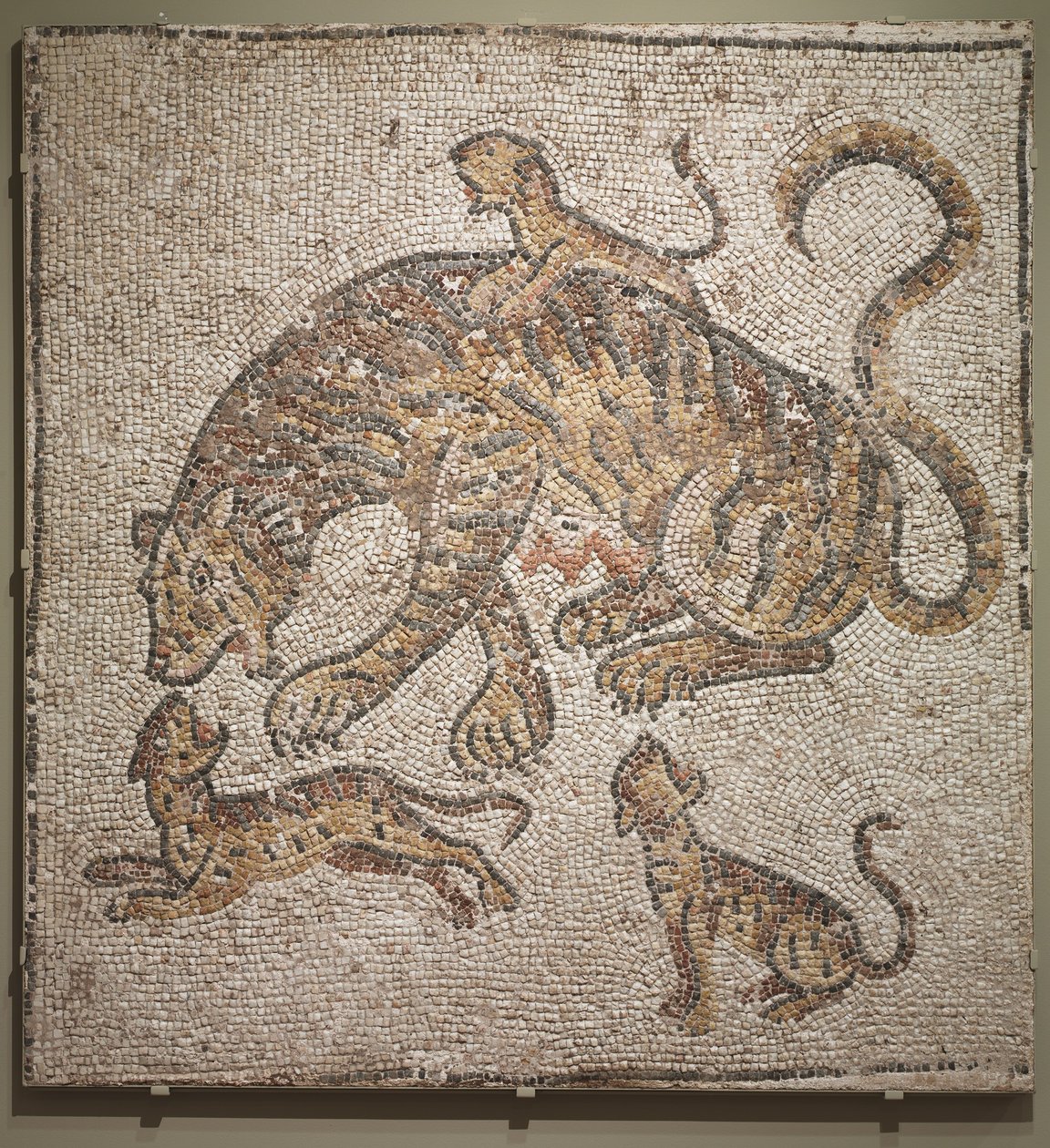 Tigress och ungar, ca 300 e.Kr av Roman