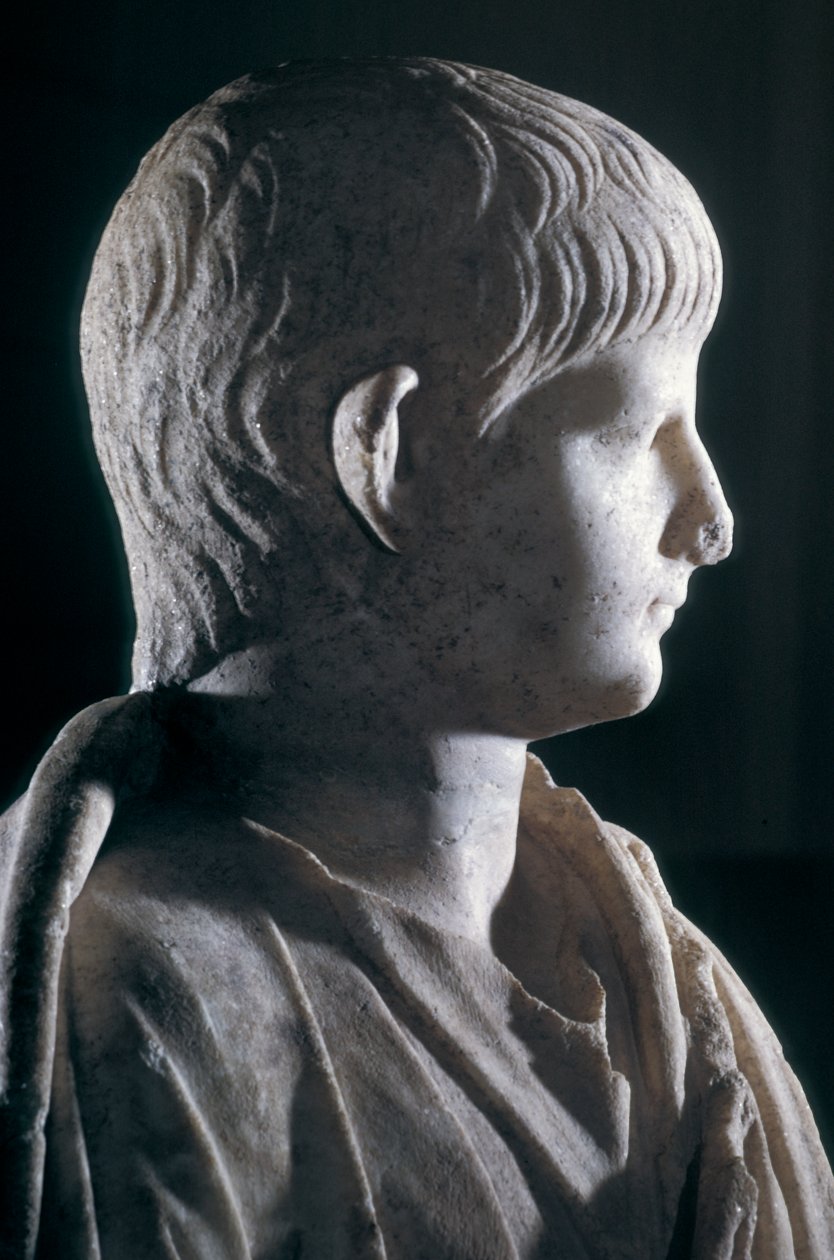 Togate staty av den unge Nero, sidovy av huvudet, c.50 AD (marmor) (detalj av 140378) av Roman