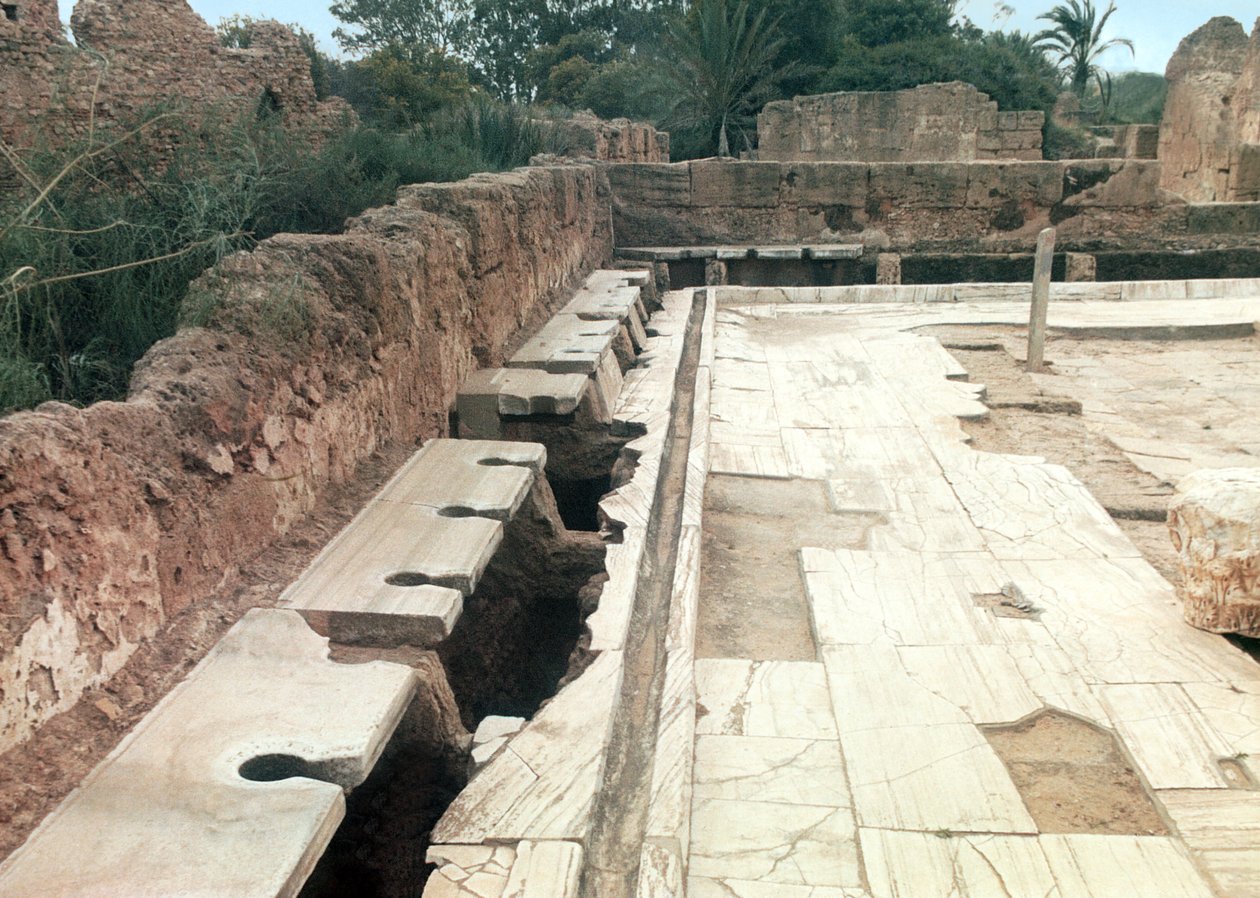 Utsikt över en gemensam toalett, möjligen en del av Hadrianic Bath-komplexet, ca 127 e.Kr. av Roman
