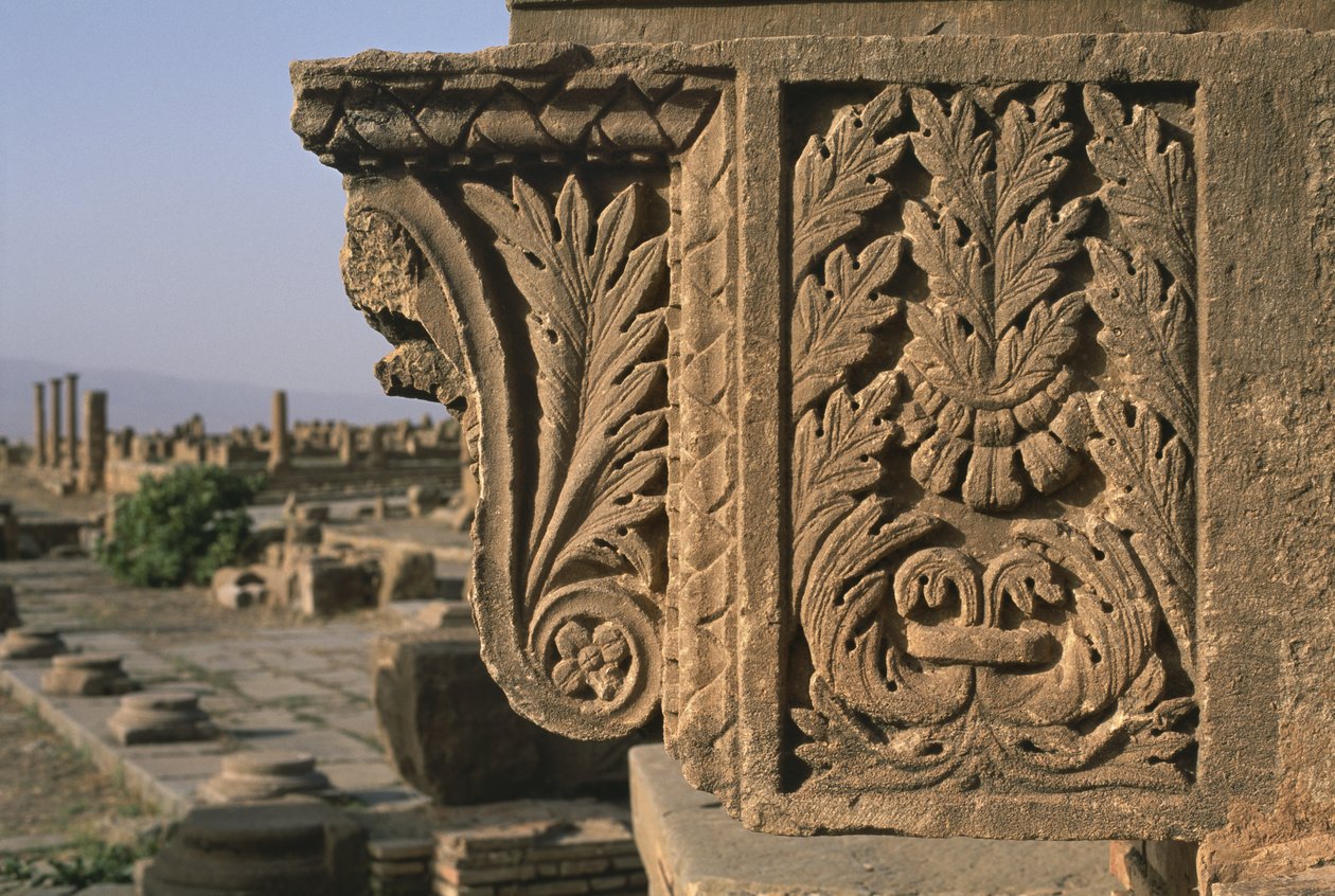 Arkitektoniskt fragment med snidad dekoration, Sertius-marknaden, Högkejsarperioden (27 f.Kr.-395 e.Kr.) av Roman Imperial Period