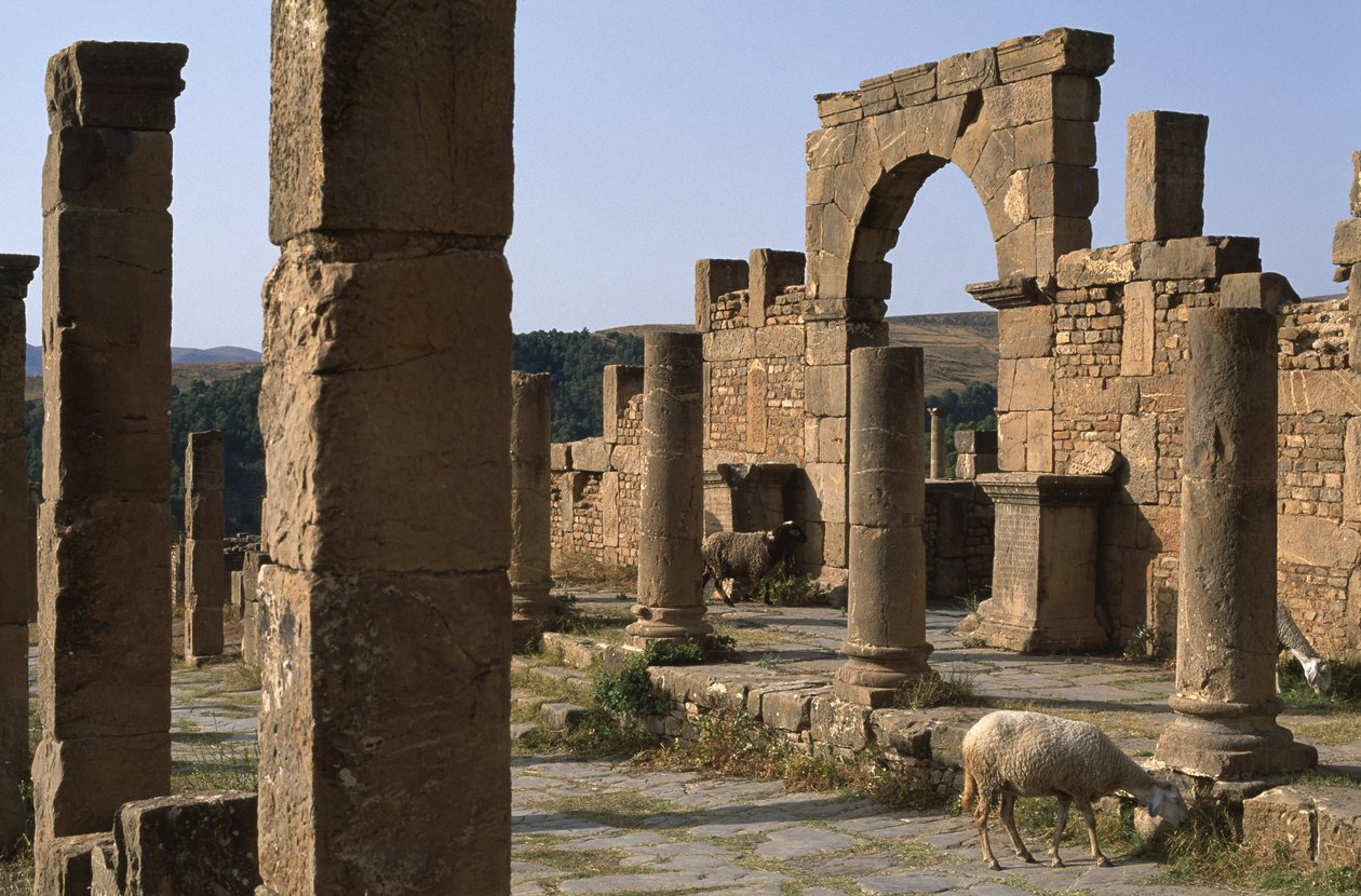 Cardo och inträde på Cosinius Market, High Imperial Period (27 BC-395 AD) av Roman Imperial Period