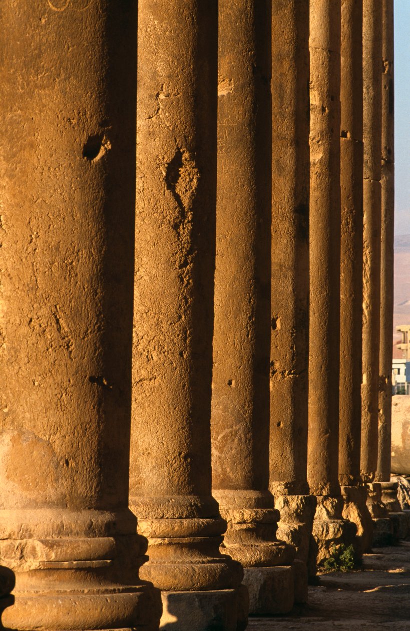 Bacchus tempel, detalj av kolonnaden, hög kejsartid 27 f.Kr. - 395 e.Kr. foto av Roman Imperial Period