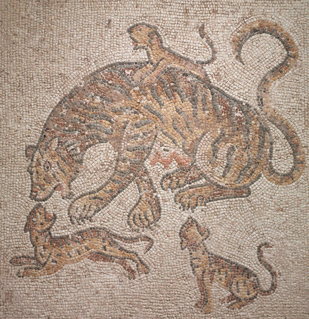 Tigress och ungar, 300-tal av Roman Imperial Period