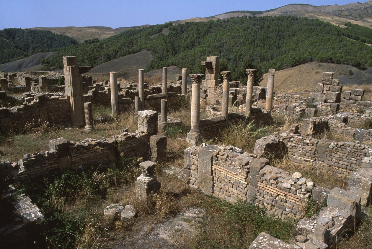 Vy över ett bostadsområde, hög kejsartid (27 f.Kr. - 395 e.Kr.) av Roman Imperial Period