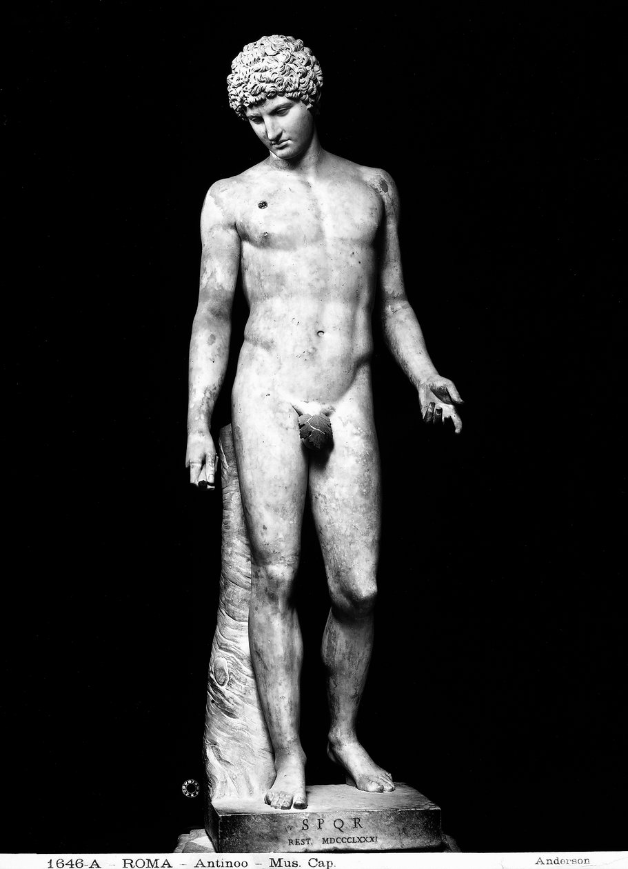 Antinös (marmor) av Roman Roman