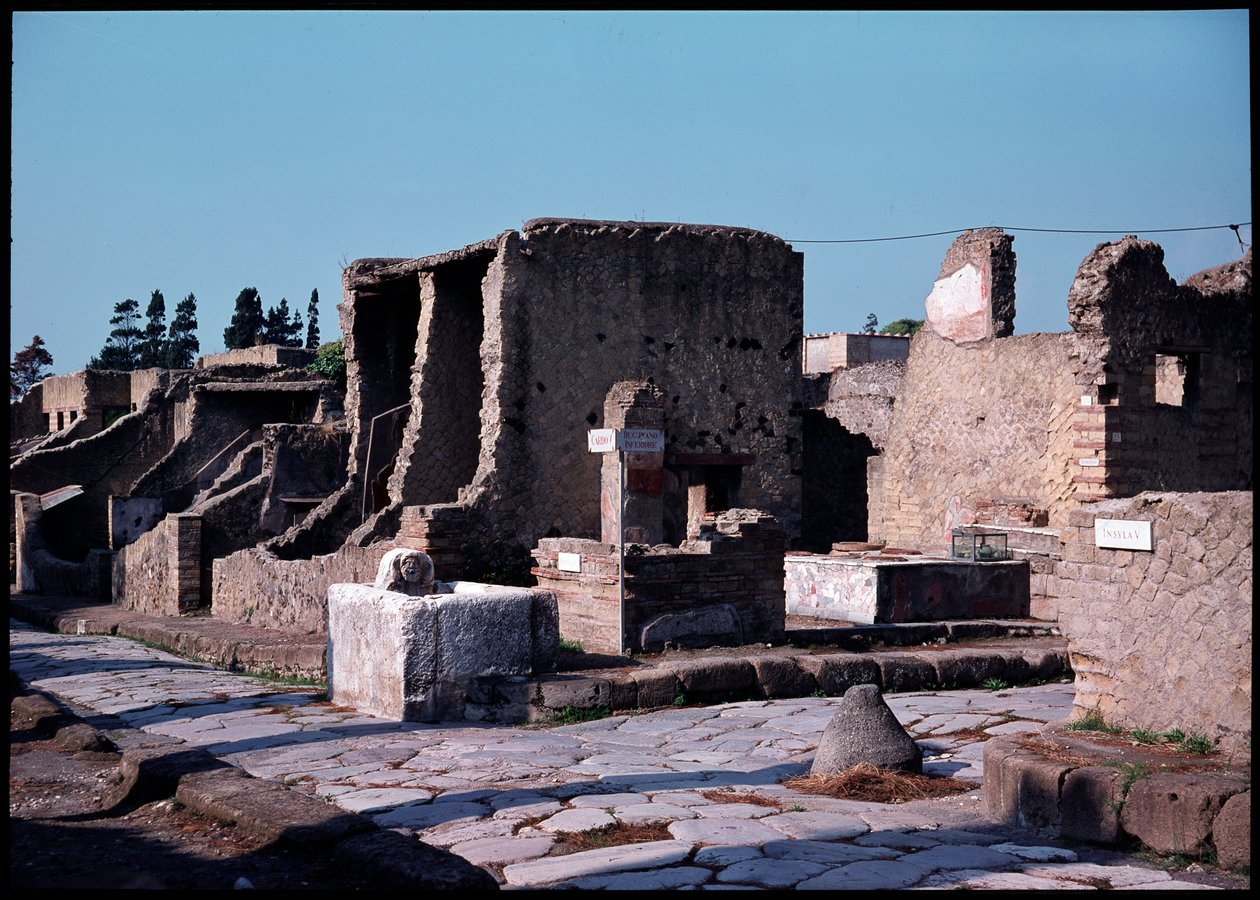 Korsning mellan cardo V och nedre decumanum, 500-talet f.Kr.-1:a århundradet e.Kr av Roman Roman