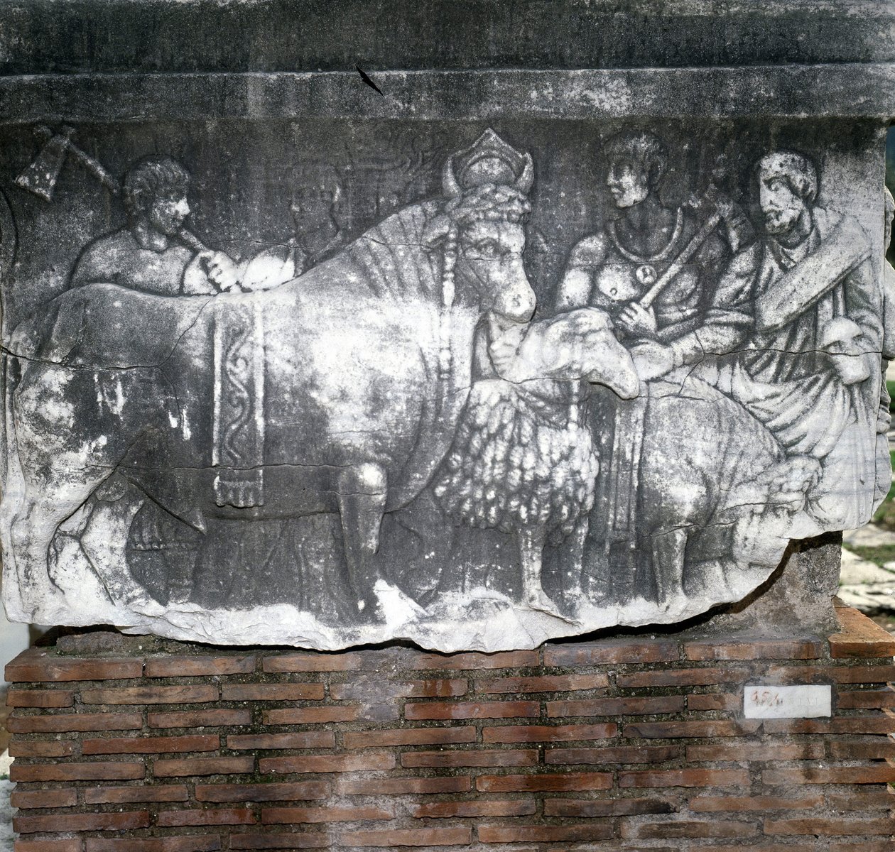 Foro Romano: Suovetaurilia (offer av en gris, en bagge och en tjur). Rom av Roman Roman