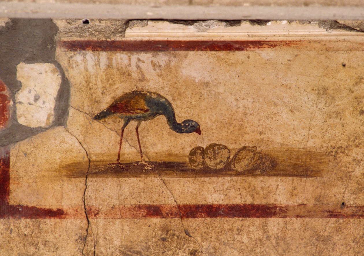 Fresk föreställande fågel från peristylium i House of Caius Julius Polybius, Pompeji (UNESCOs världsarvslista av Roman Roman