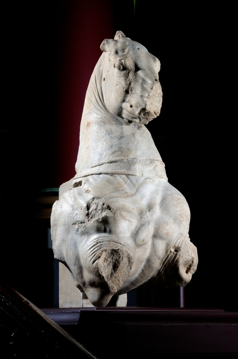Främre delen av en häst (marmor) (se även 371182 & 371183) av Roman Roman