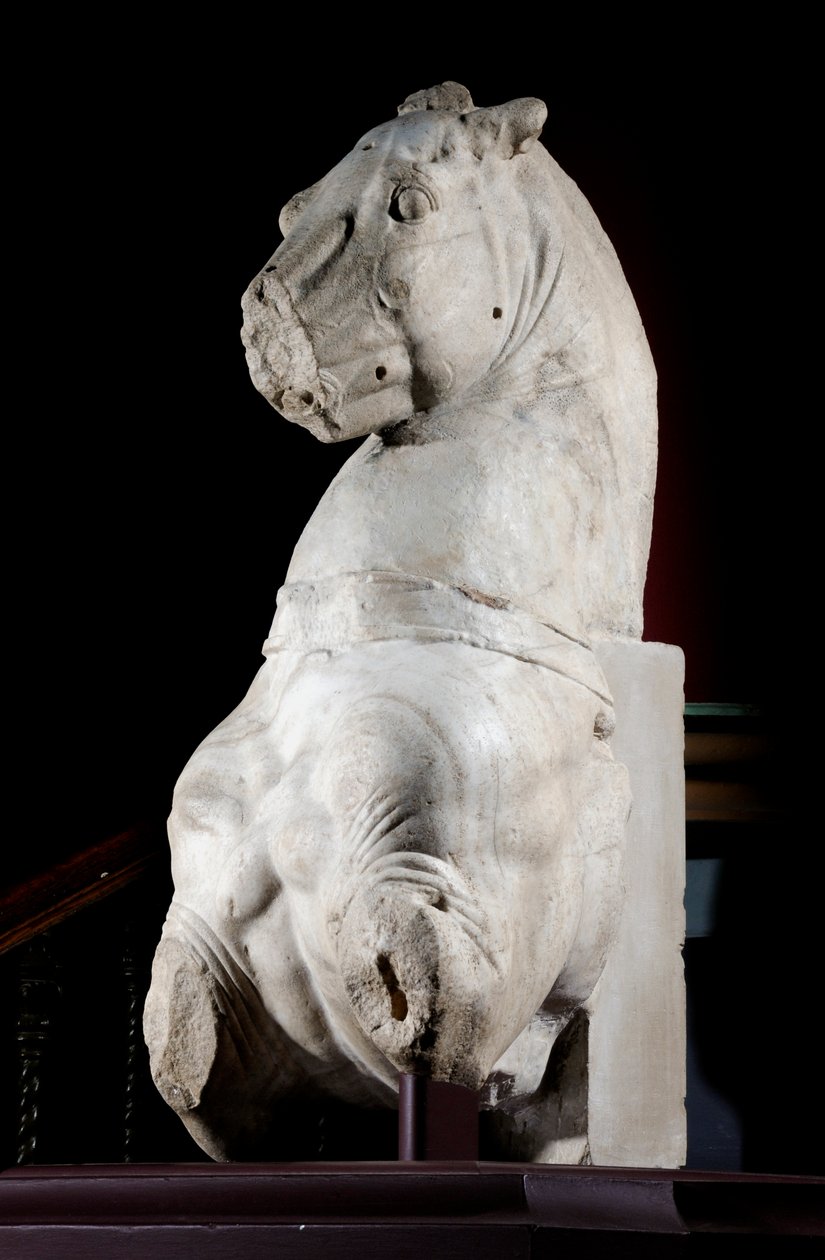 Främre delen av en häst (marmor) (se även 371182 & 371184) av Roman Roman