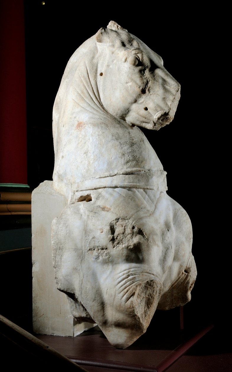 Främre delen av en häst (marmor) (se även 371183 & 371184) av Roman Roman