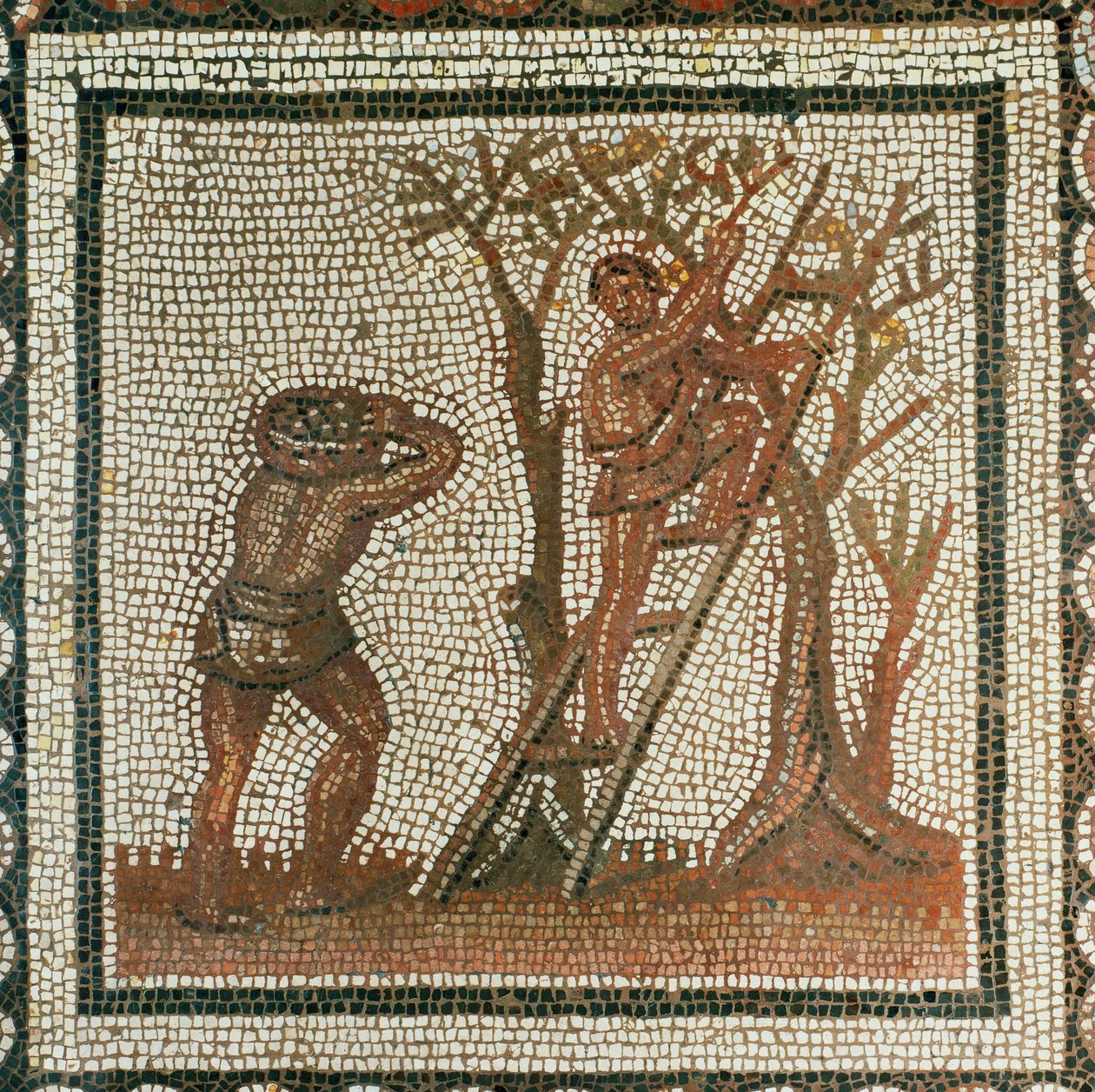Skörd av oliver (mosaik) av Roman Roman