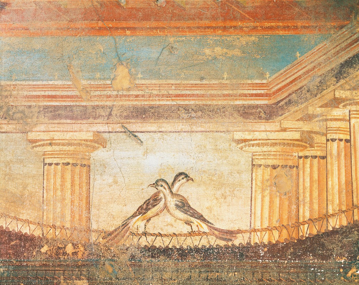 Hera Sannita fresk föreställande fåglar, House of Labyrint, Pompeji, Kampanien, romersk civilisation av Roman Roman