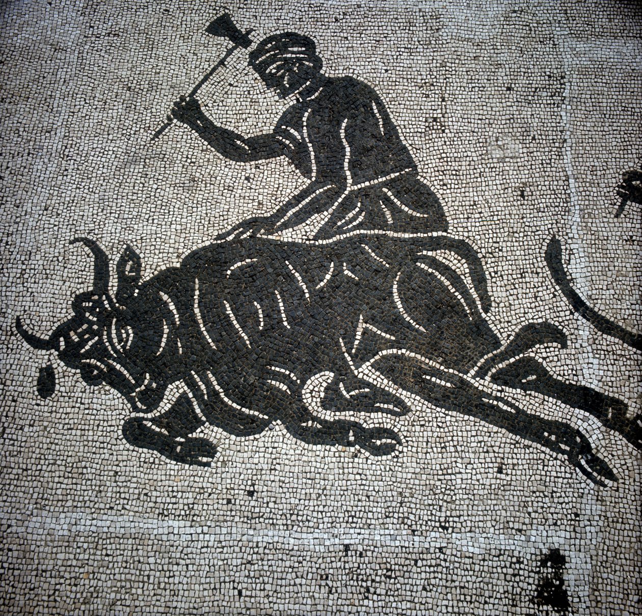 Mosaik som visar en scen av en tjurs slakt och hittades i Ostia (Ostia) (nära Rom). För närvarande bevarad i den före detta brandhallen i Ostia. av Roman Roman
