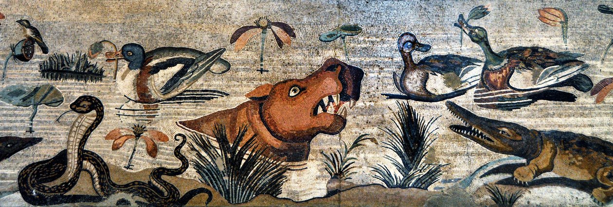 Mosaikfris från Pompei (faunahus, casa del Fauno - nilotisk scen - djurliv på Nilen: flodhäst, krokodil, orm, ankor - romersk konst - Neapels arkeologiska museum, Italien - Museo Archeologico Nazionale, Napoli, Italia - Foto Patrice Cartier -) av Roman Roman