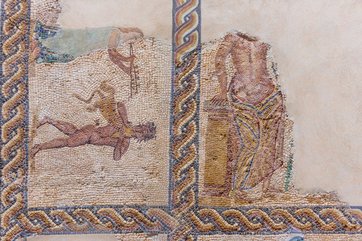 Delvis skadade mosaiker visas av Roman Roman