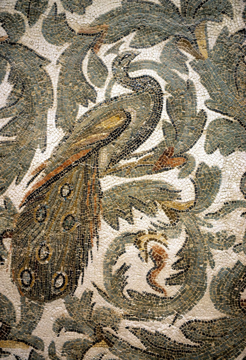 Påfågel, detalj av mosaik - 300-talet e.Kr., Bardo-museet, Tunis av Roman Roman