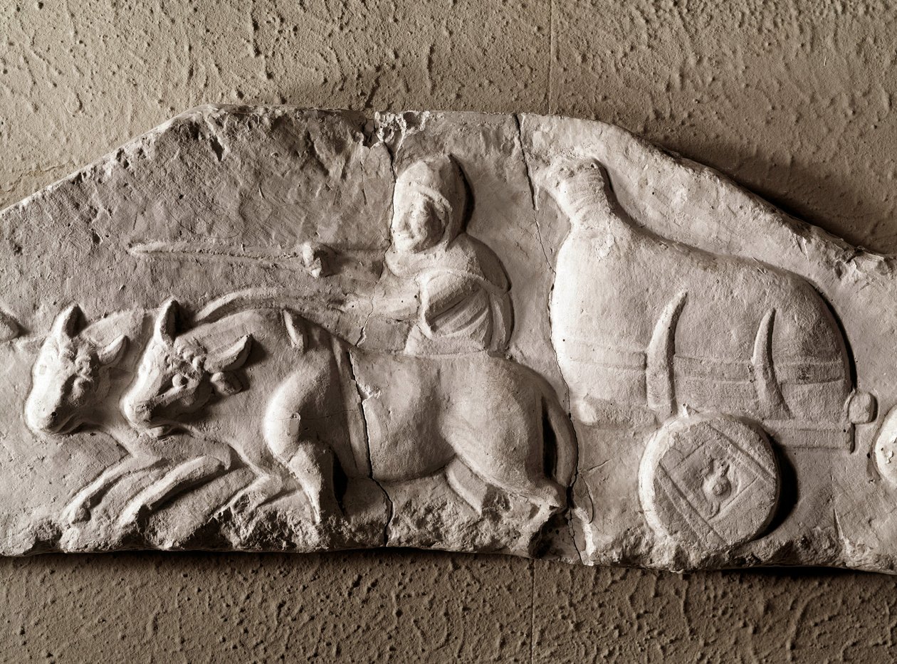 Romersk konst: snidad oxtank, Romersk antikvitetsmuseum, Rom av Roman Roman