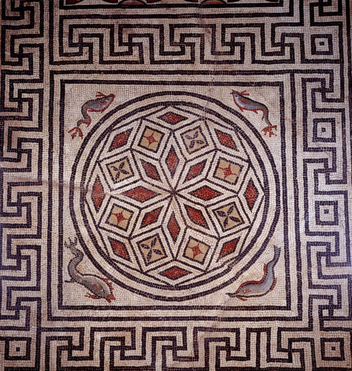 Romersk konst: mosaik av delfiner. Nimes, arkeologiskt museum. av Roman Roman