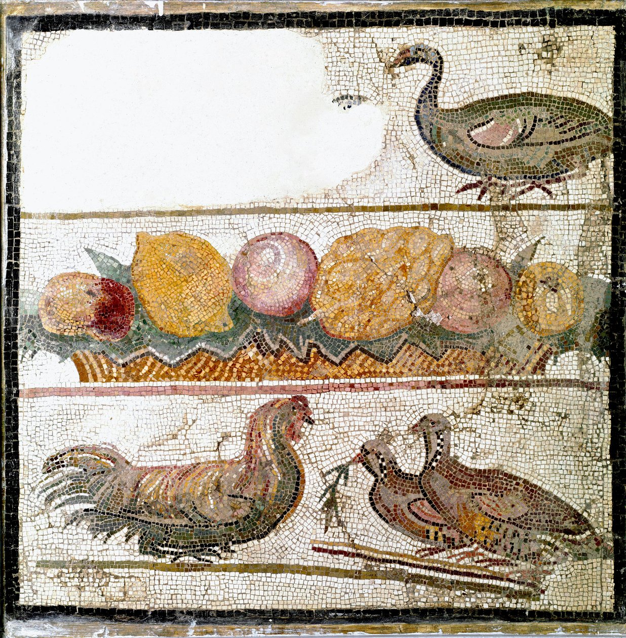 Romersk konst: mosaik som representerar höns, gås, fjäderfä. Rom, National Roman Museum - romersk konst Djur och frukt, mosaik. National Roman Museum, Rom, Italien av Roman Roman