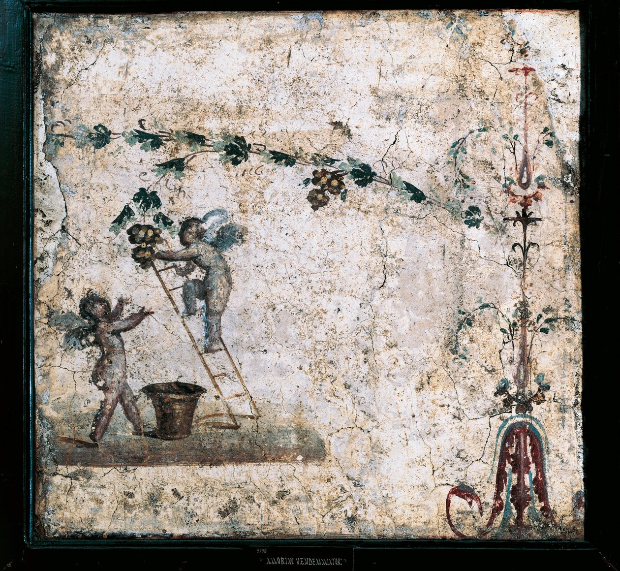Tredje stil fresk föreställande Cupids skörd, från House of Marcus Lucretius i Pompeji av Roman Roman