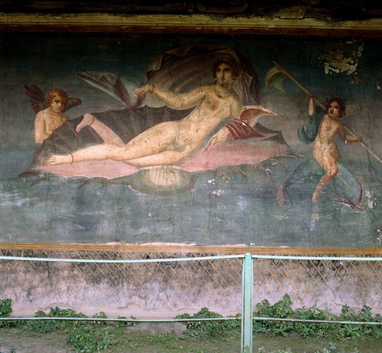 Venus vilar i skalet. Venus hus, Pompei, Italien. Fresk. av Roman Roman