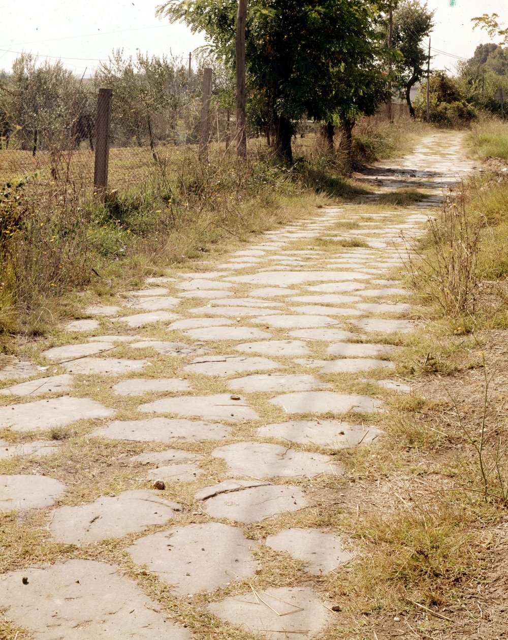 Via Flaminia, Rom. av Roman Roman