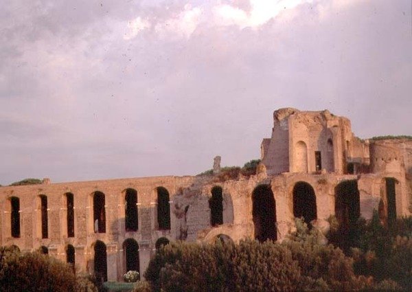 Utsikt över Palatinen från Circus Maximus (foto) (se även 99012) av Roman Roman