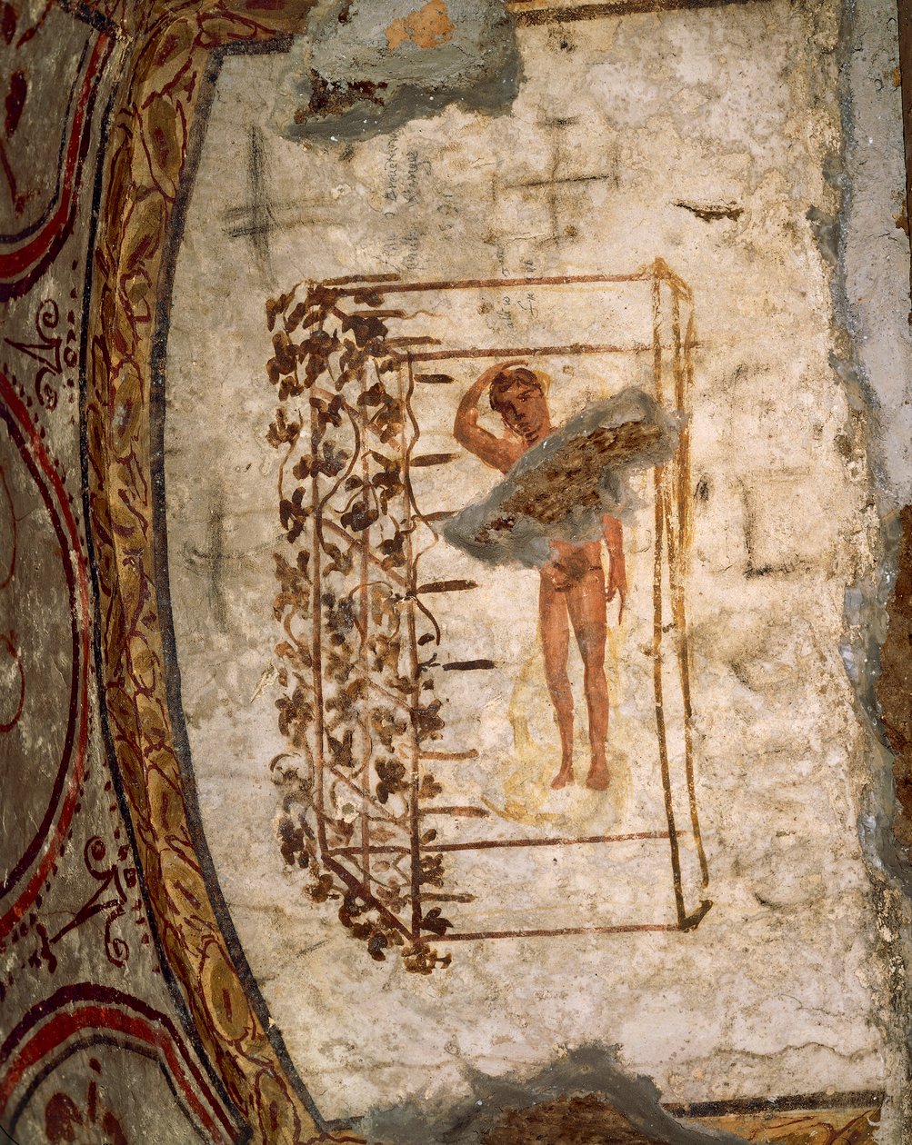 Ungdom, spaljé och vinstockar, 3:e-5:e århundradet e.Kr. (fresk) av Roman Roman