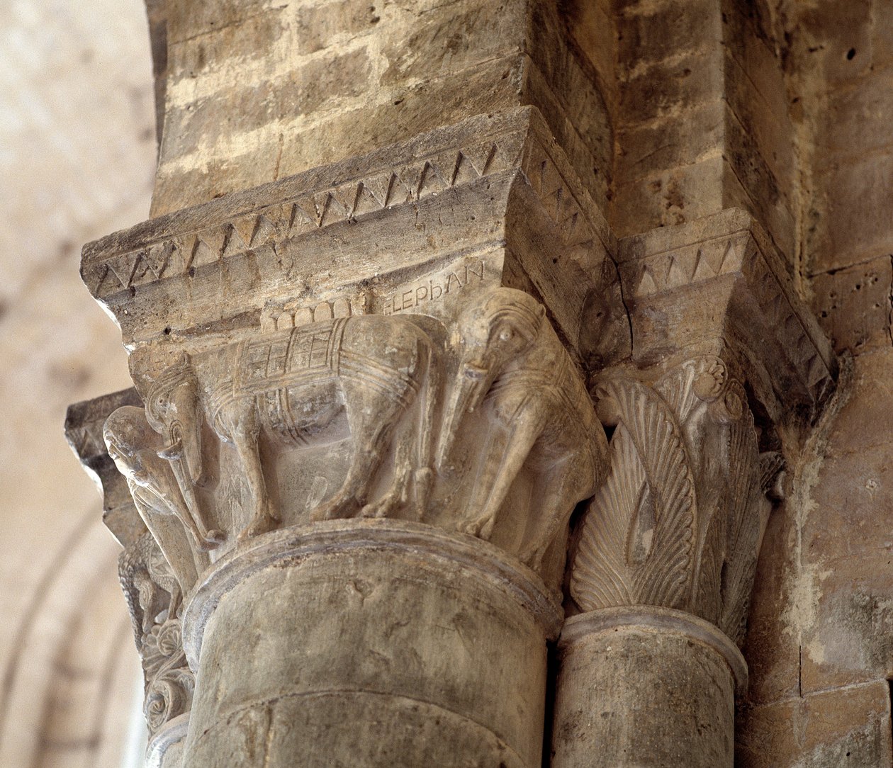 Elefanter (huggen huvudstad i långhuset av Romanesque